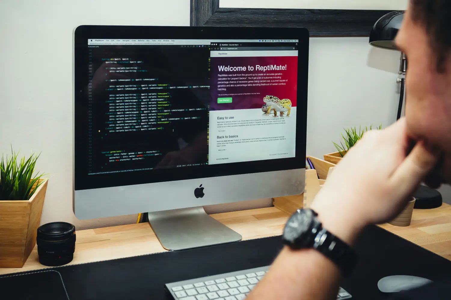 Programador desarrollando un sitio web